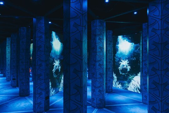 Tour image 5